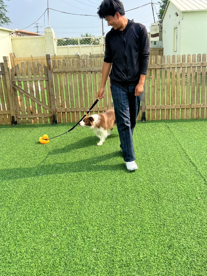 我看看哥哥在遛啥