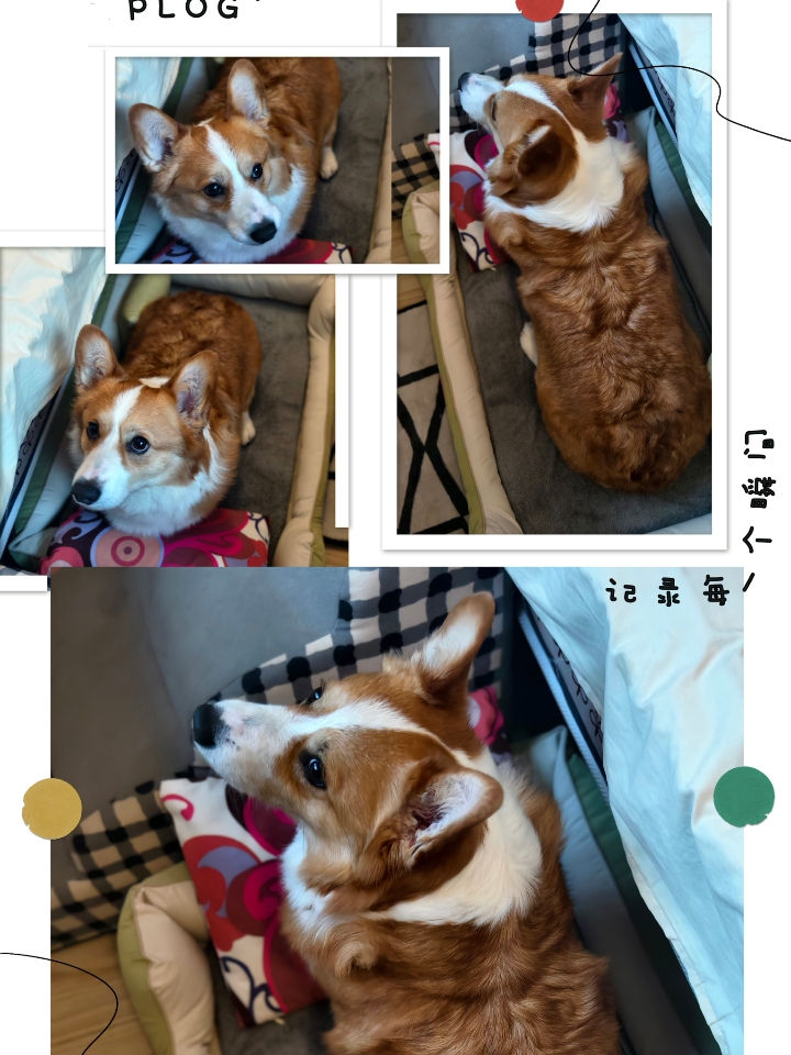 西五街