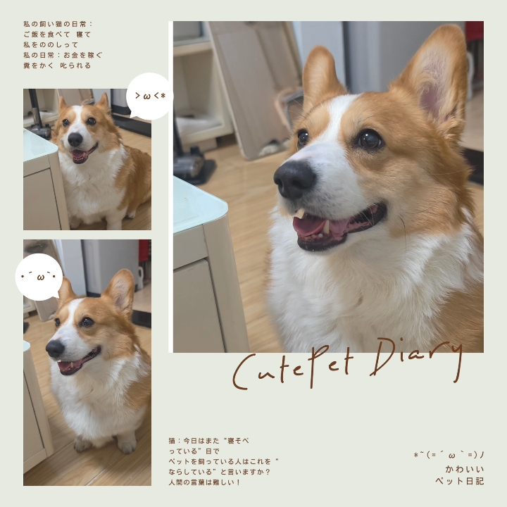 笑嘻嘻