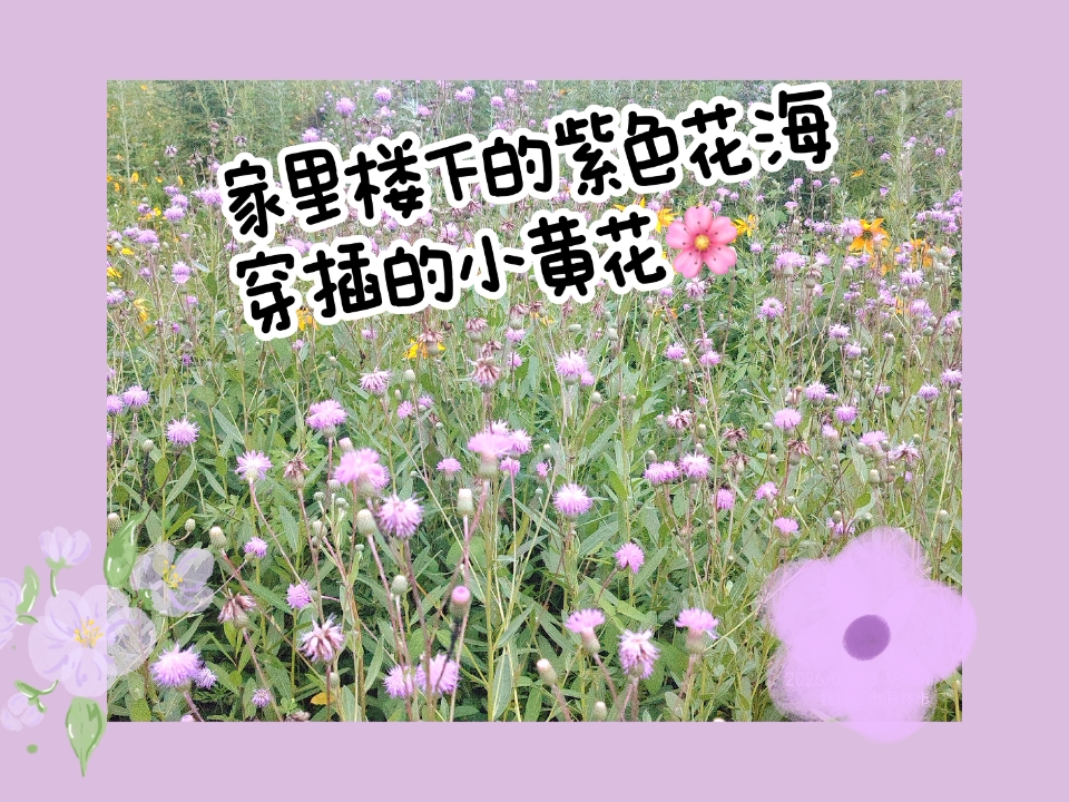 日常|开心٩(๑^o^๑)۶