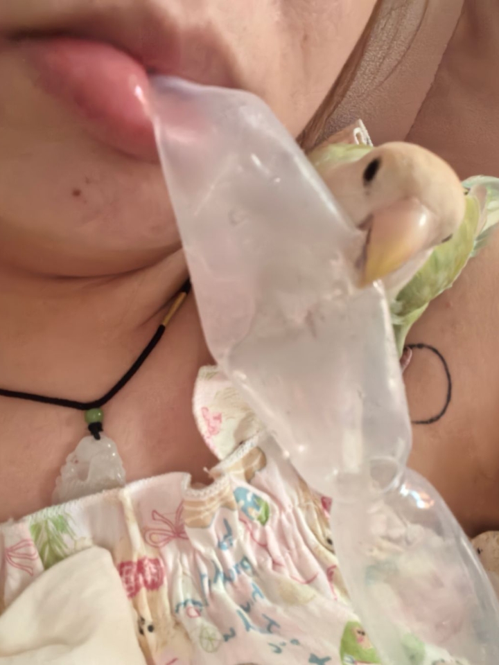吃啥抢啥！！！真是只坏叽！