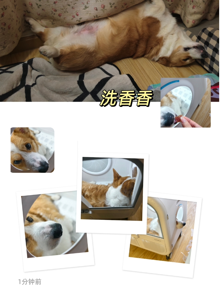 洗香香