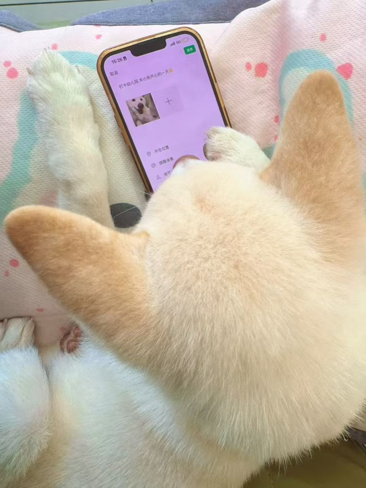 自己发个朋友圈吧
