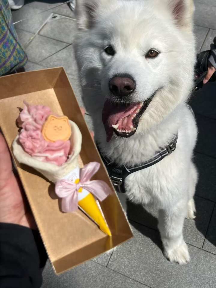 见到吃的就开心