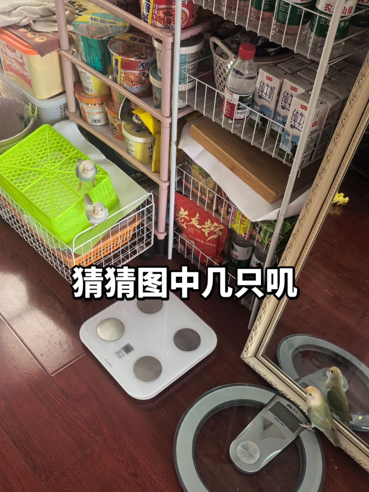 眼力测试！看看到底是谁眼力满分～