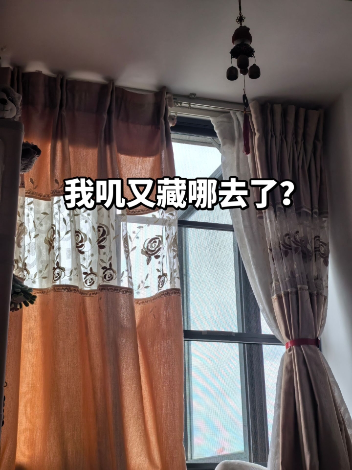 天天就爱玩捉迷藏的小叽宝宝～