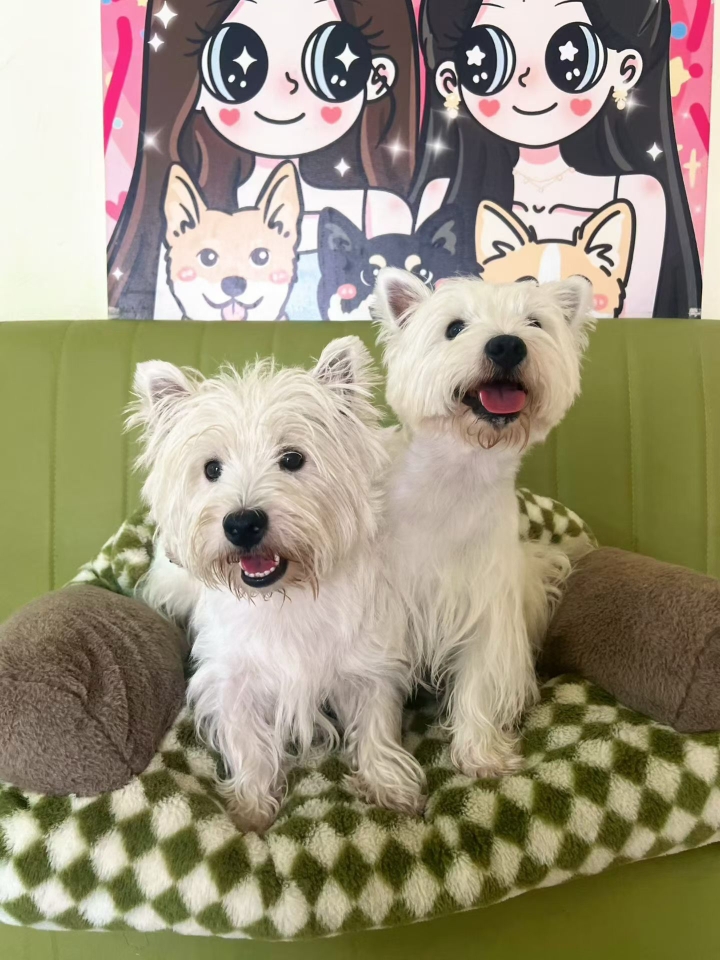 异父异母的亲兄弟