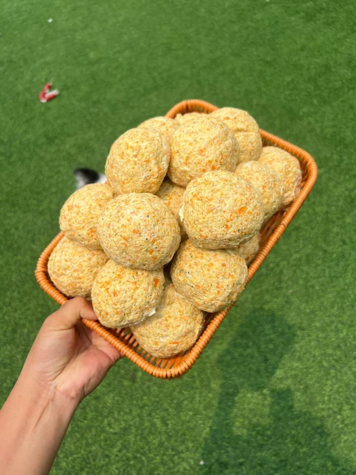 狗饭来袭