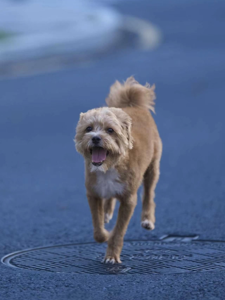 可爱死了我的宝