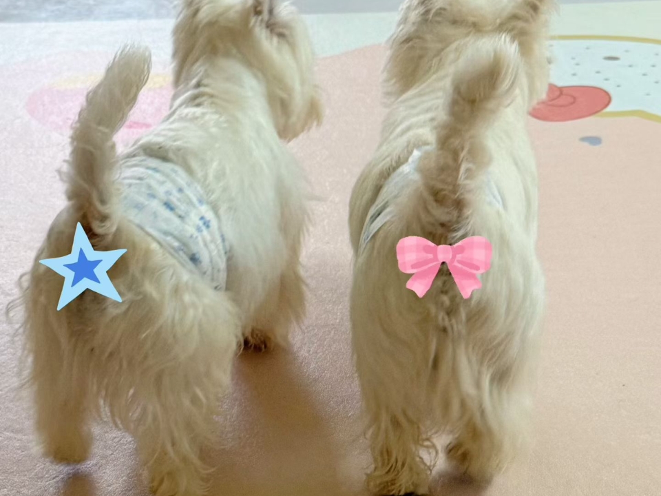 亲兄弟
