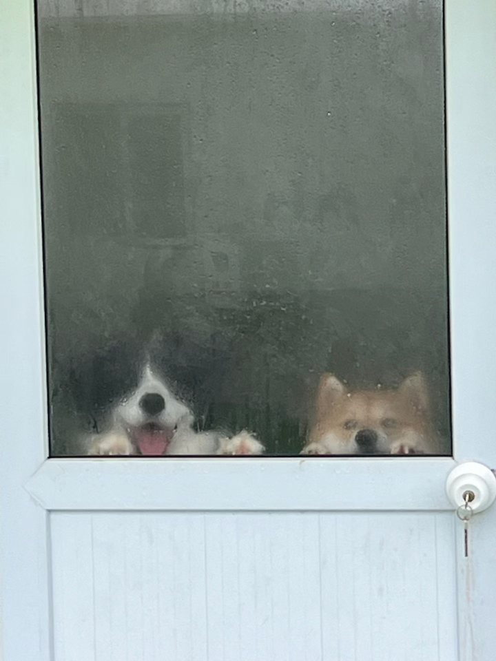我看看还下雨吗