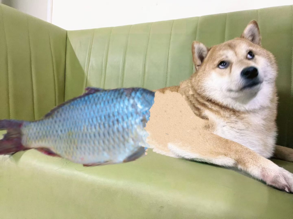 美人鱼来袭