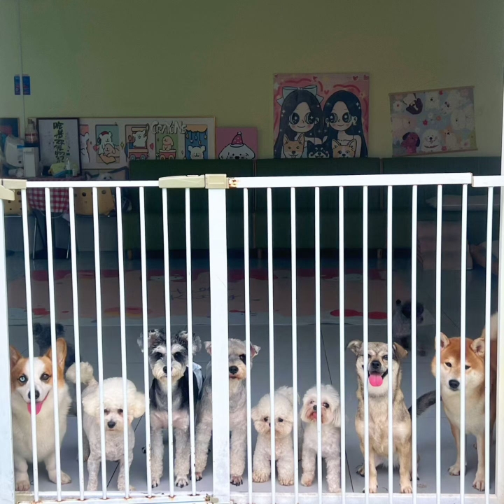 排排站