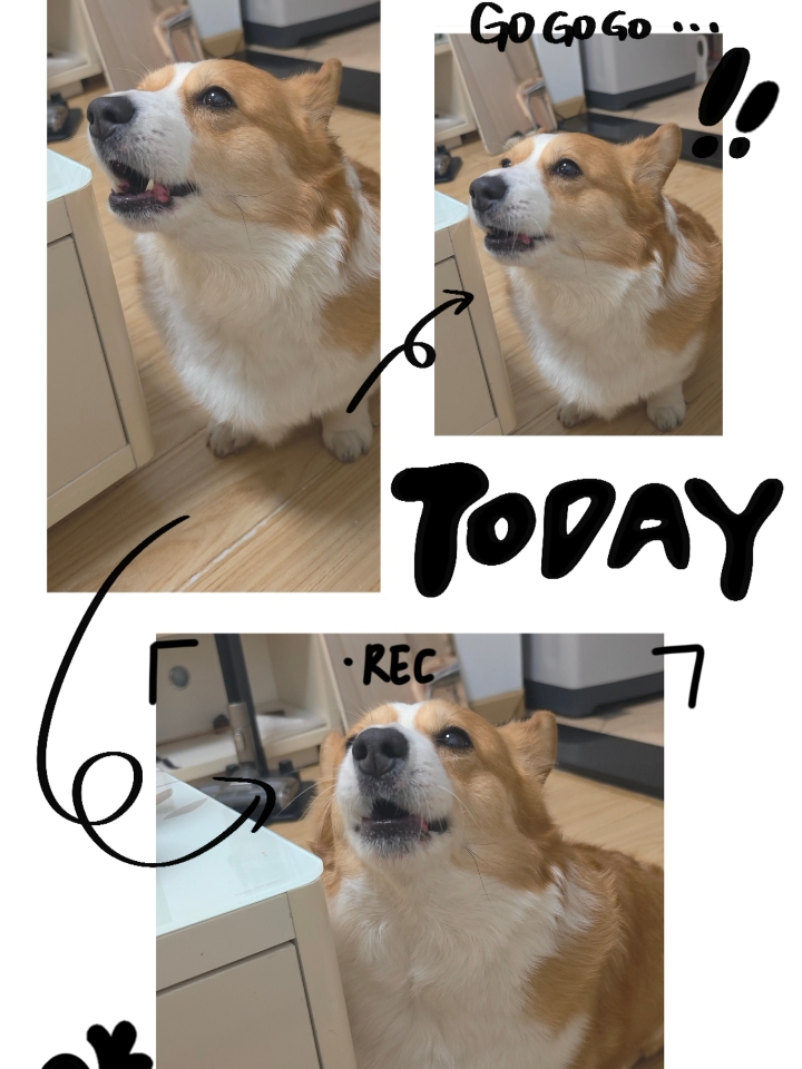 嗷呜