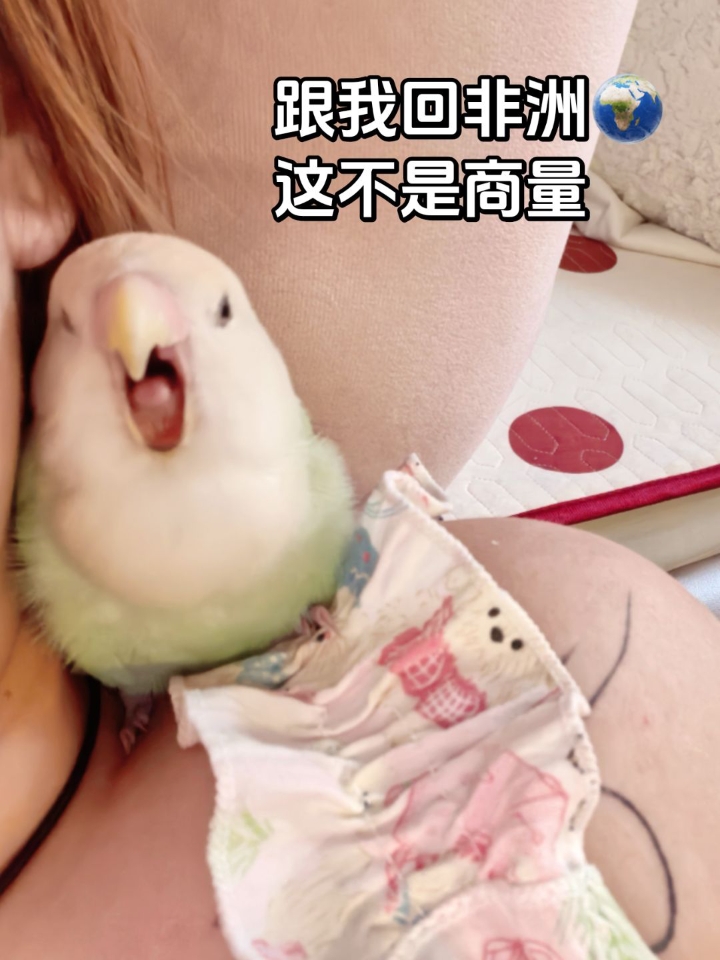 霸道非洲小女孩～