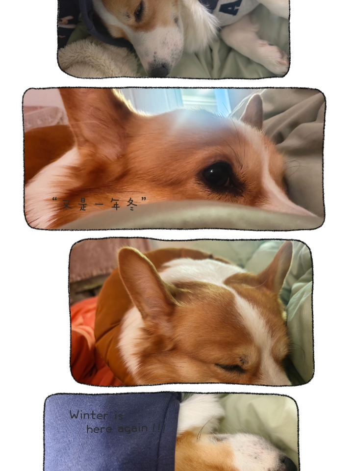 大眼睛