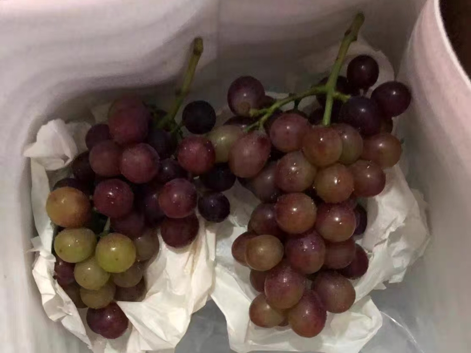 把整个葡萄园搬回家！7种风味一次解锁🍇