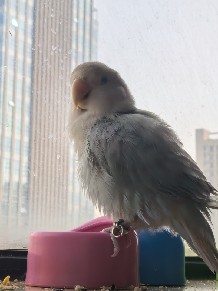 富贵🐥：我吃我吃我吃我吃我吃
