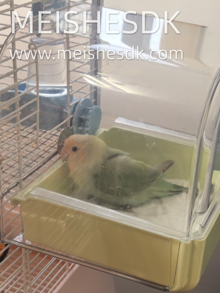 小鸡宝宝最爱的孤独屋～