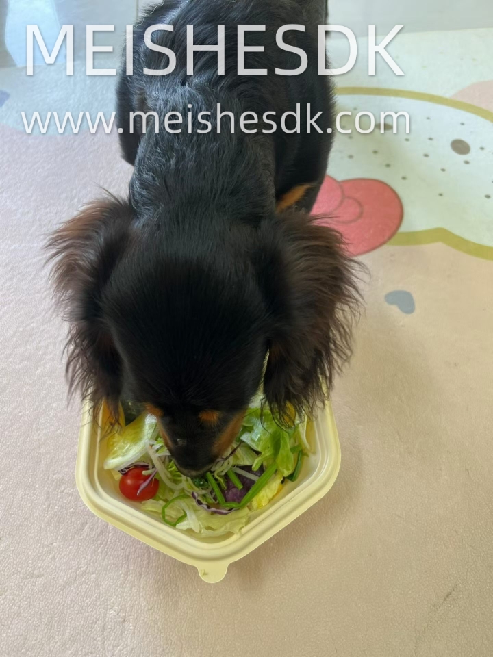 减脂餐？