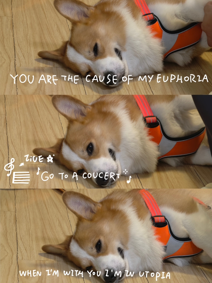 玩累了