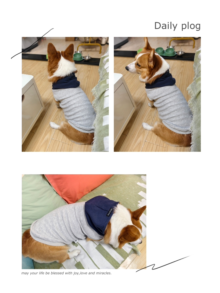 穿衣服啦