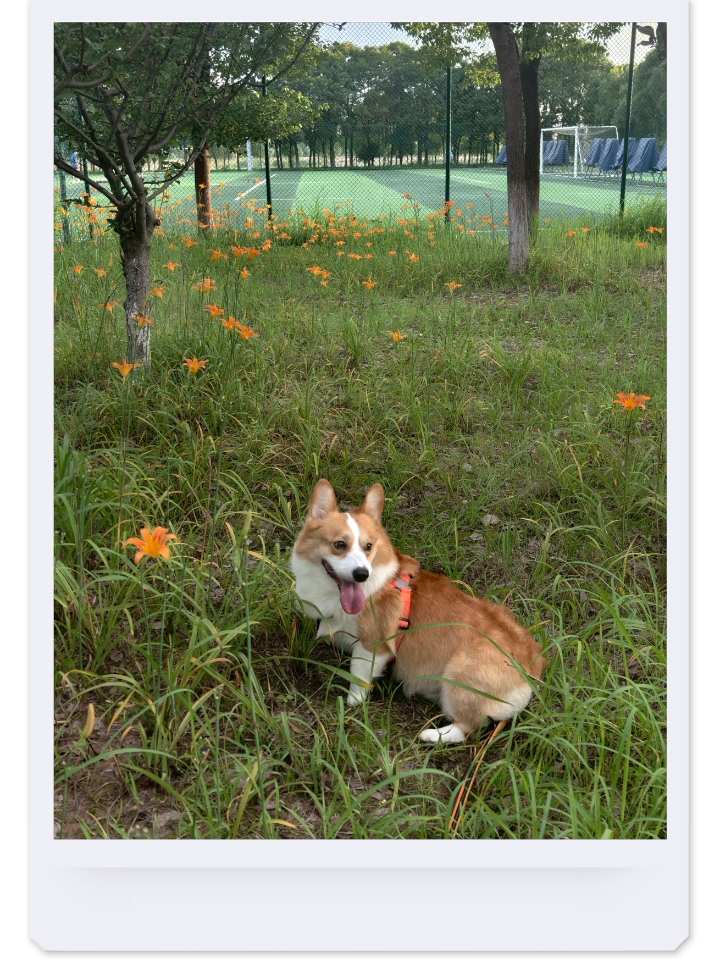 花花