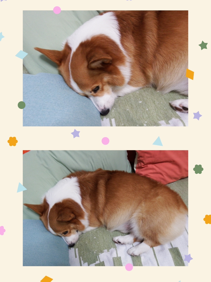 上沙发