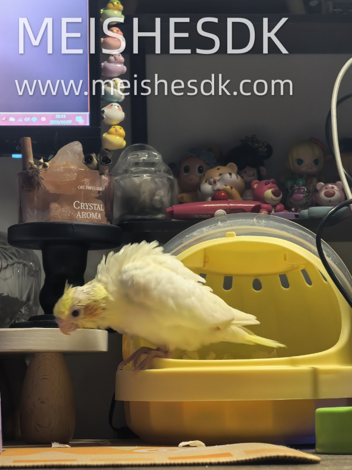 当了鸟妈之后 真是不忍错过鸟宝的每一刻！
