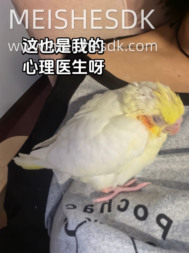 给大家介绍一下俺的新心理医生～