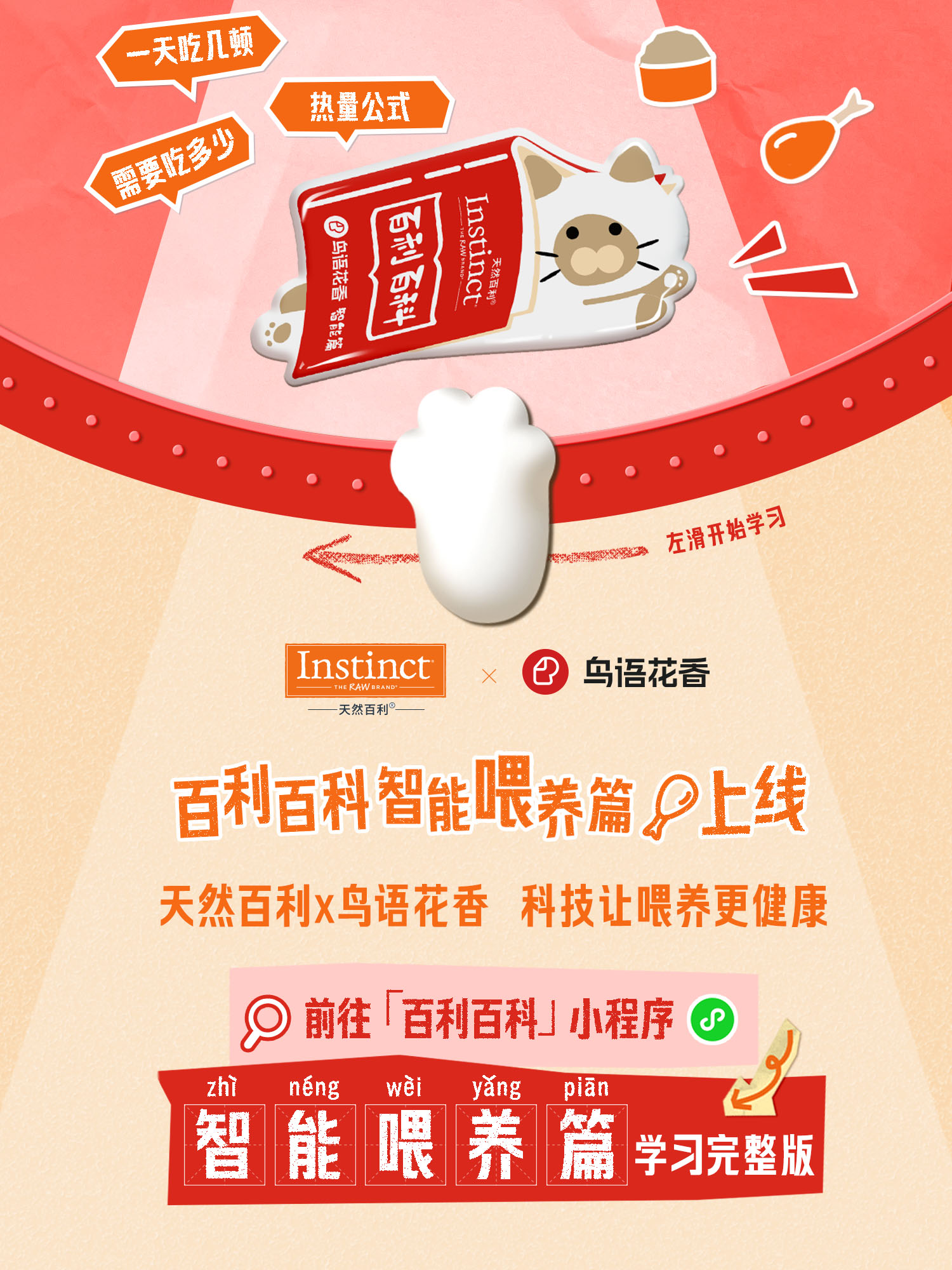 守护猫咪每一餐 天然百利x鸟语花香联名来了