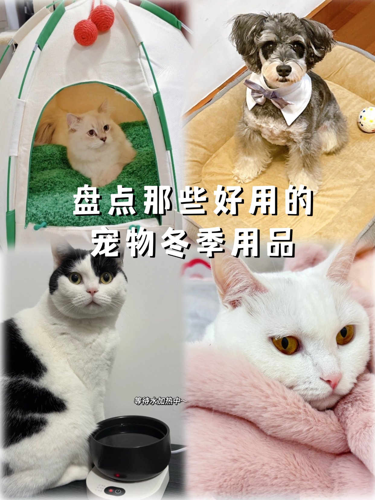 西五街