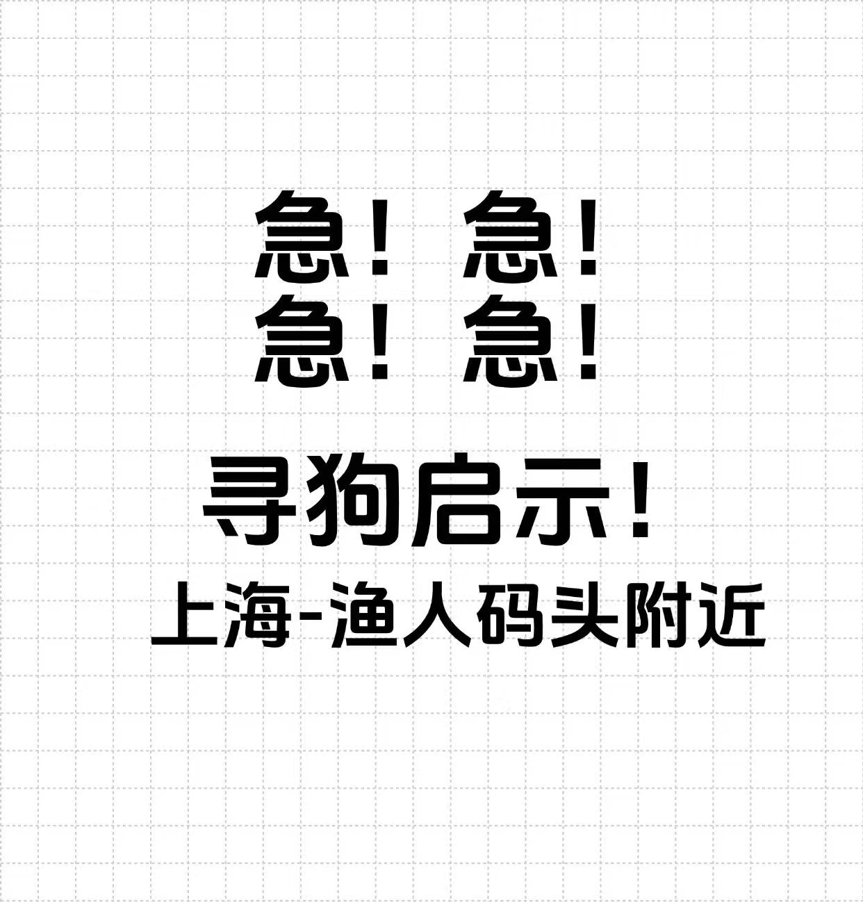 上海寻狗启示！！！