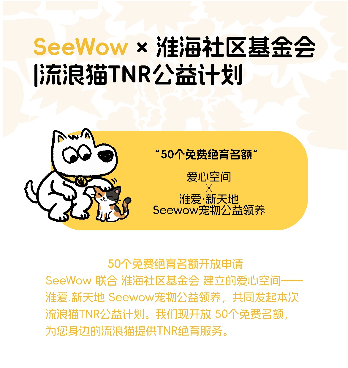 喵生重启 | 流浪猫免费绝育限时开放中🔥