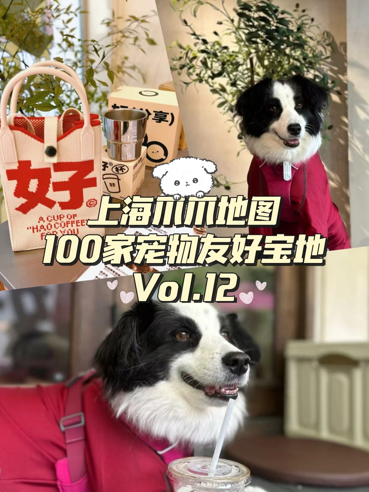🐾第12站｜好好咖啡·咖啡配萌宠，双倍快乐！