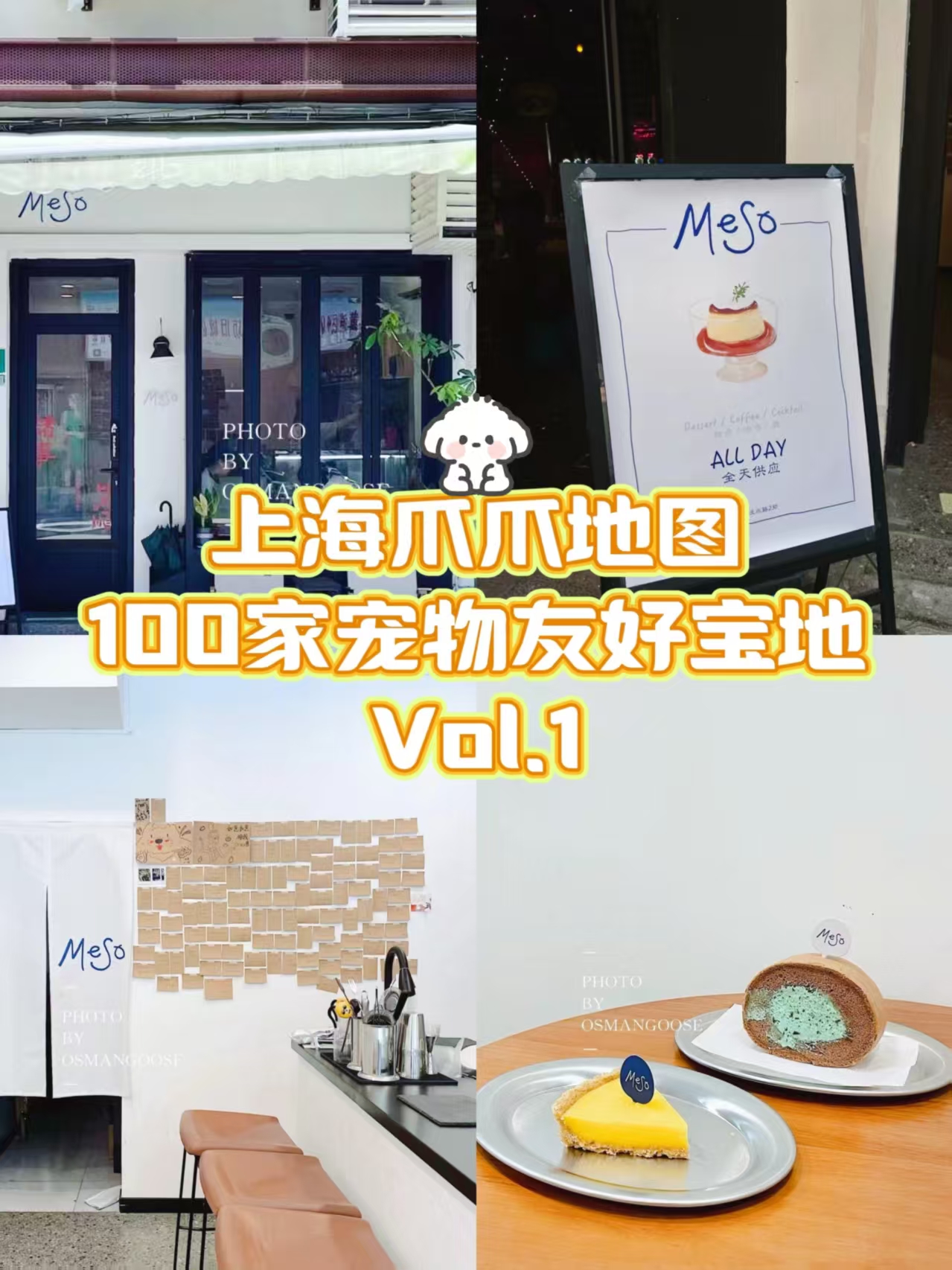 第1站｜猫狗社交俱乐部❗宝藏咖啡馆☕