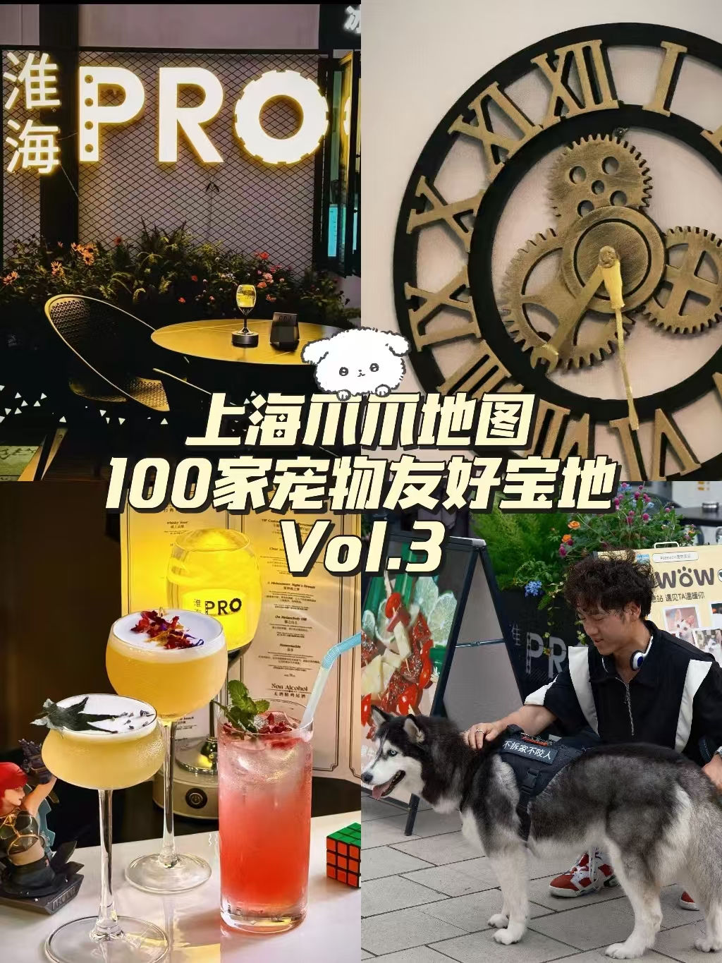 第3站｜淮海PRO BAR 宠物友好酒吧🍸