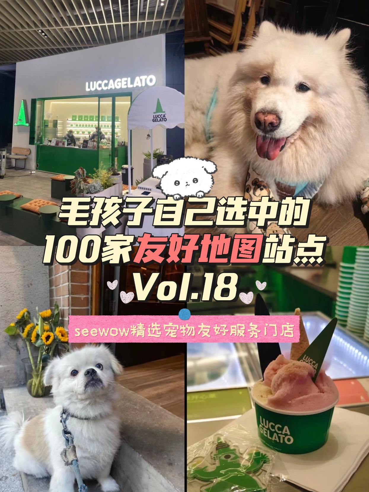 宠物友好地图第18站｜LUCCAGELATO