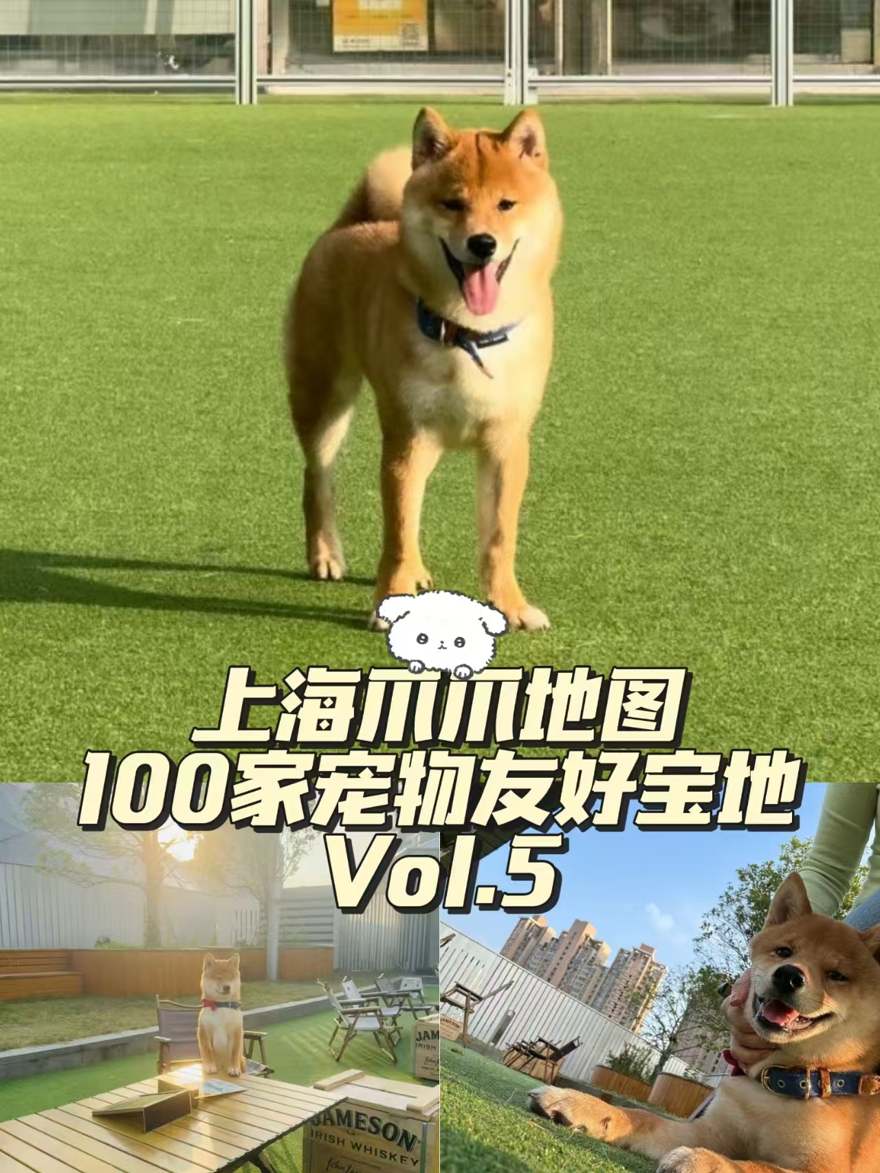 第5站｜AIRPARK公园盒子宠物友好公园咖啡馆