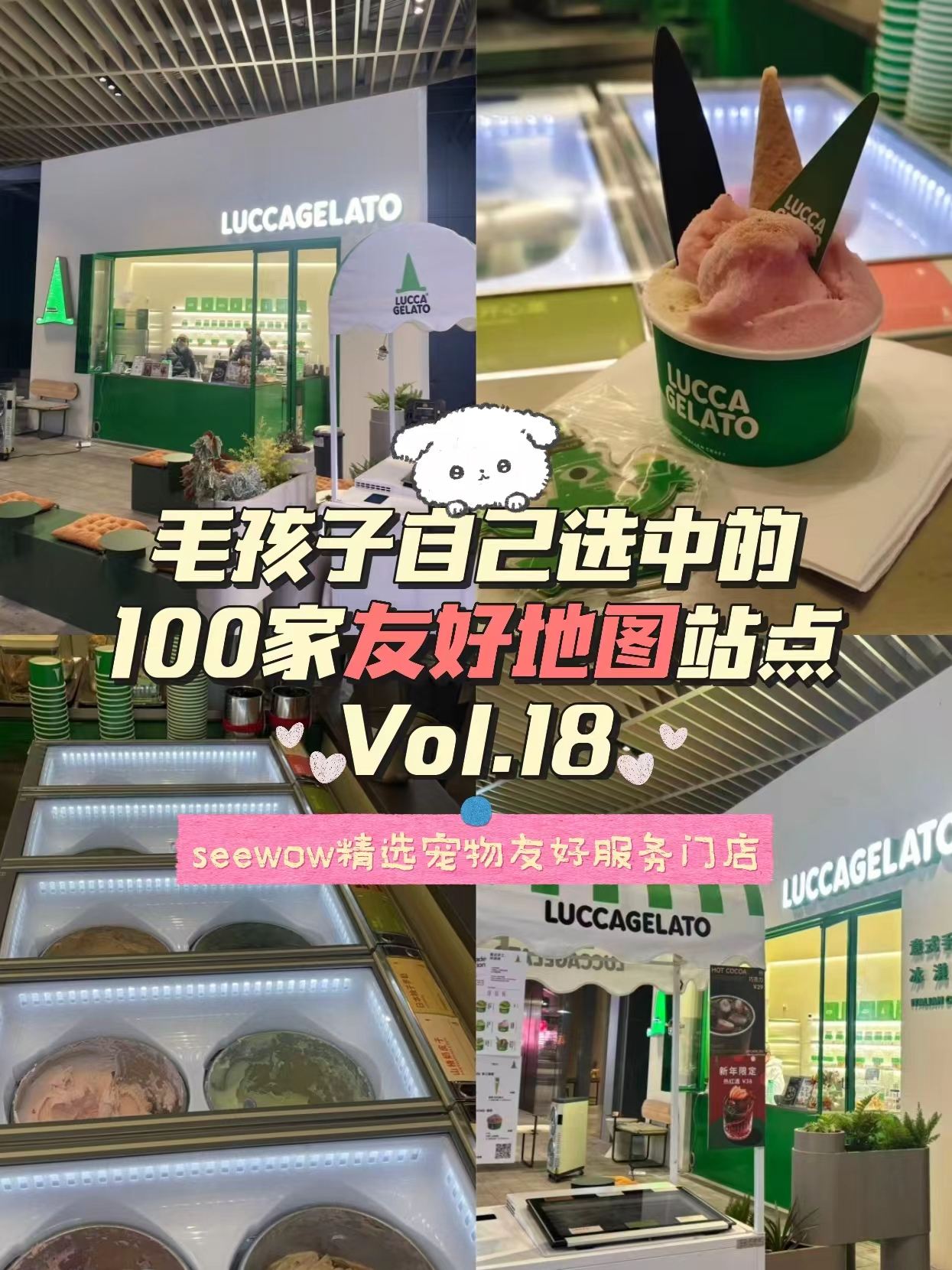 宠物友好地图第18站｜LUCCAGELATO