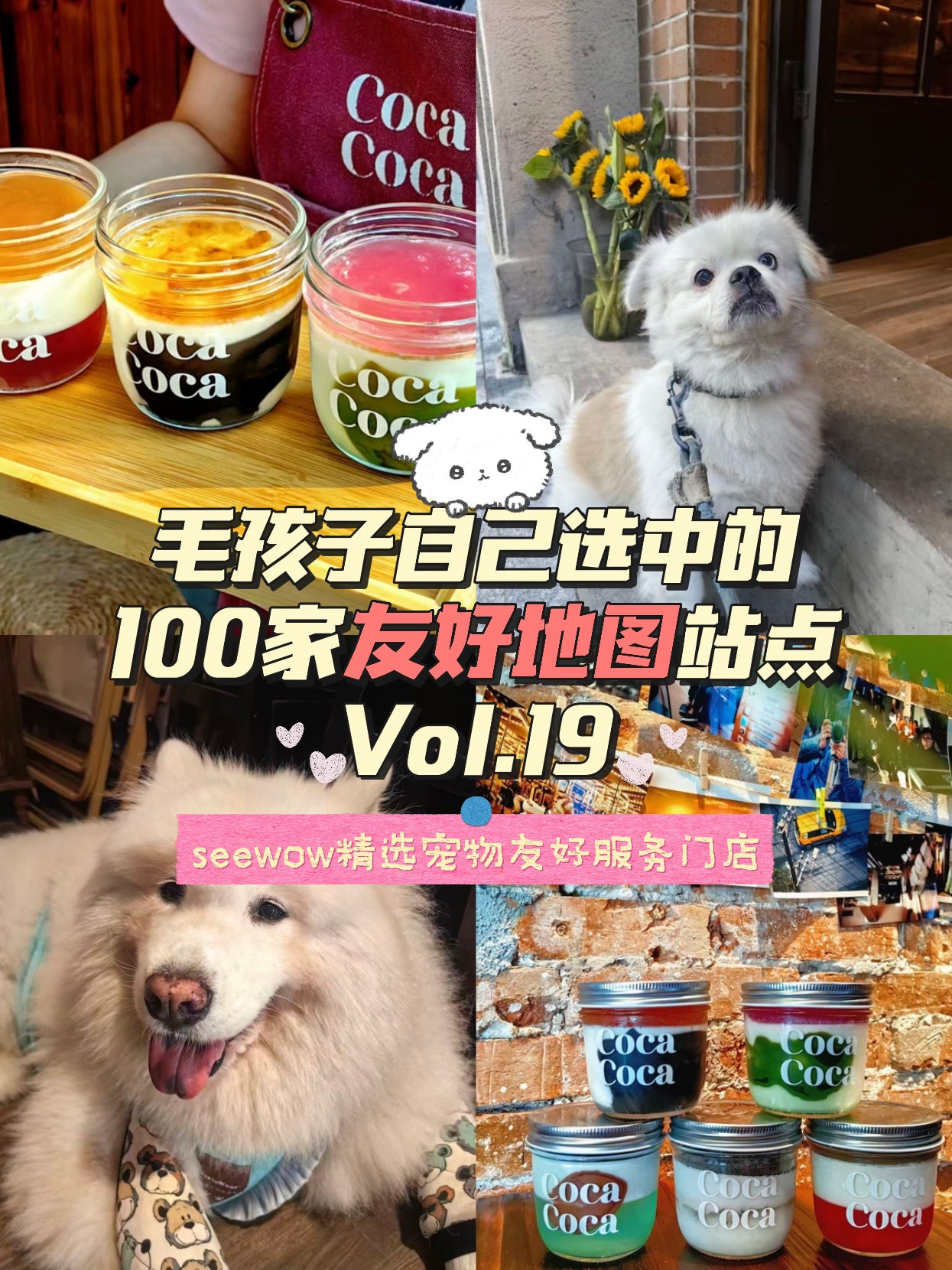 宠物友好地图第19站｜Coca Coca