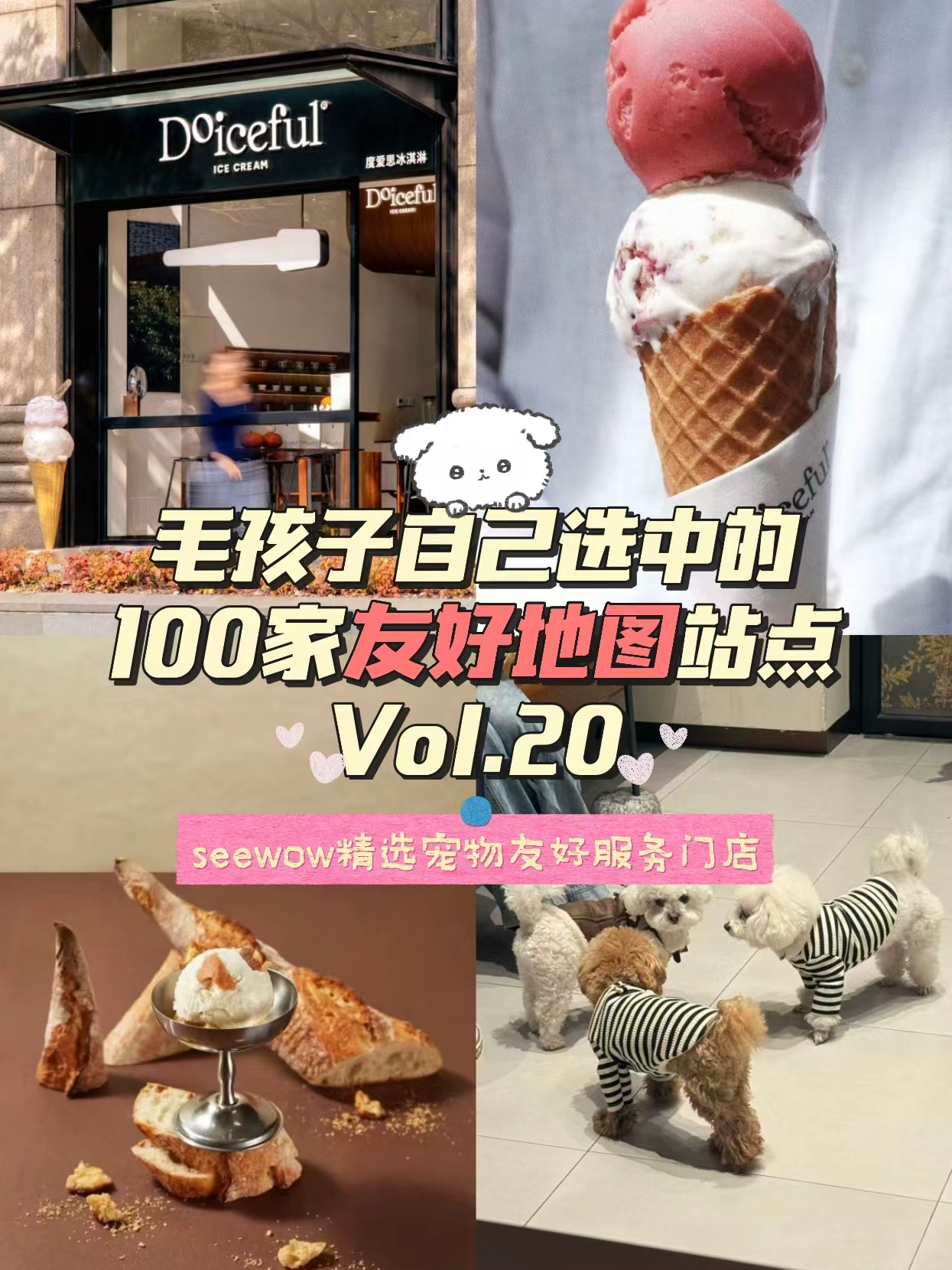 宠物友好地图第20站｜Doiceful Ice Cream