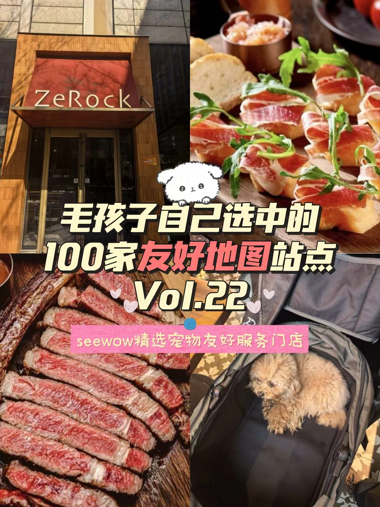宠物友好地图第22站｜ZeRock西班牙小酒馆