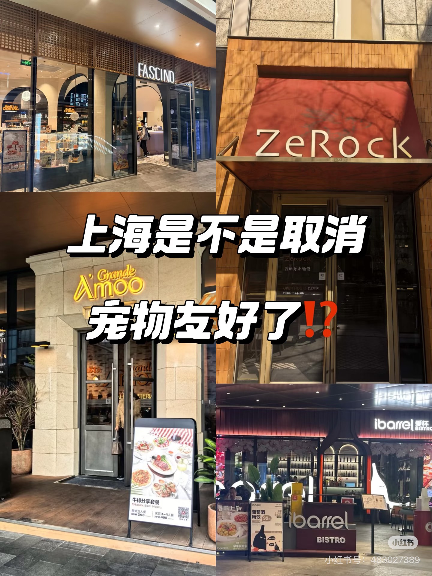 上海是不是不允许宠物友好了❓