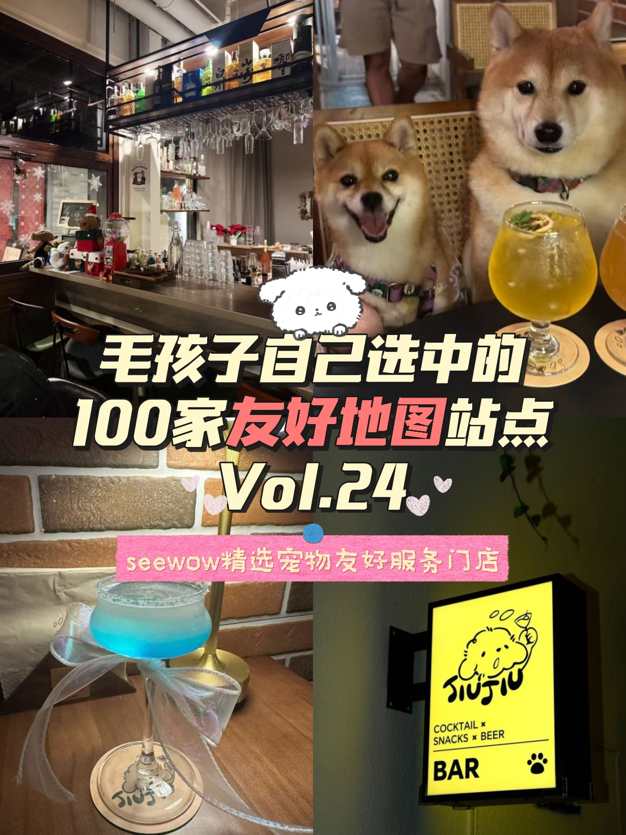 宠物友好地图第24站｜JiuJiu Bar