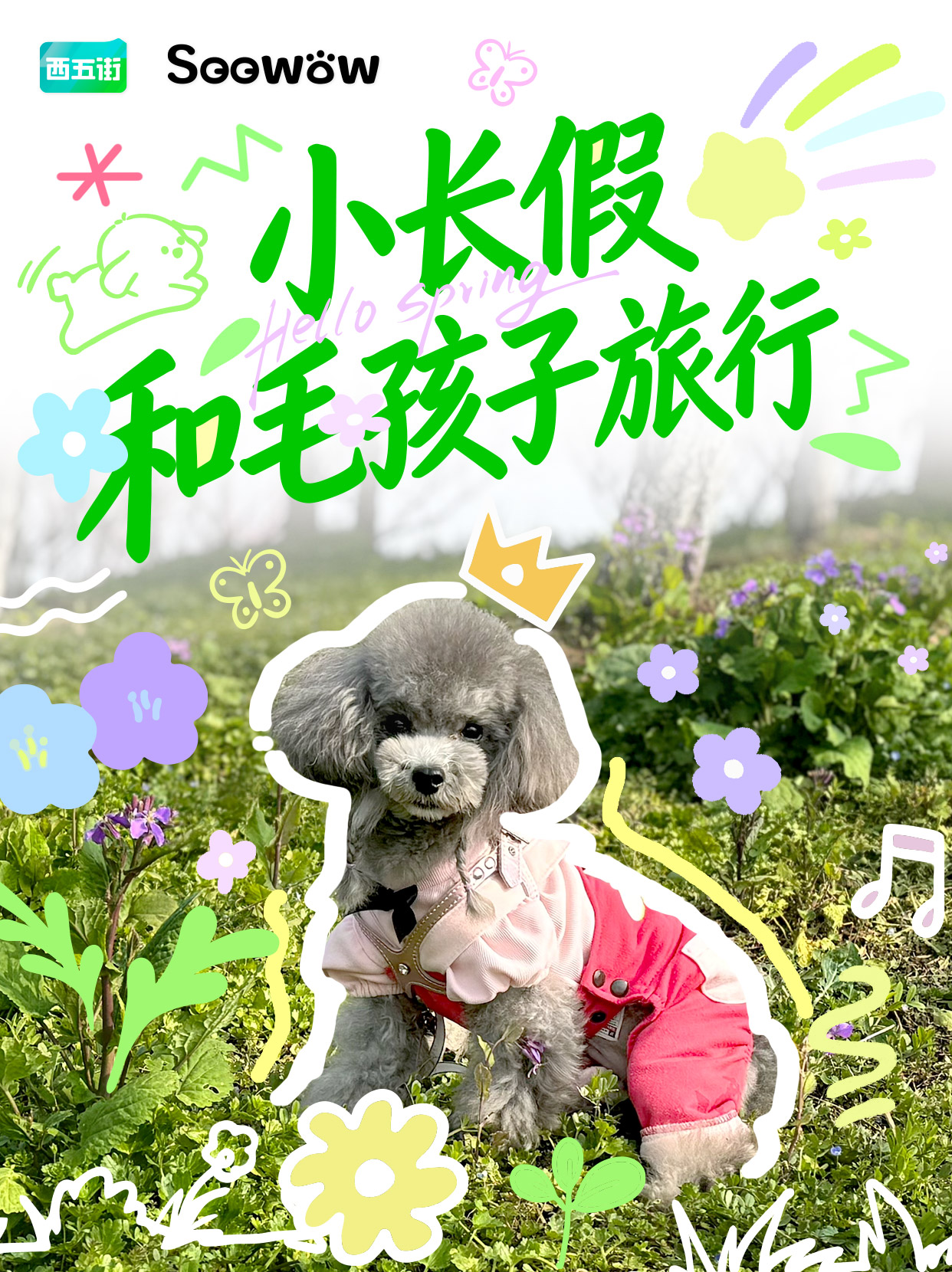 🐱🐶：人，这个小长假我们一起过！