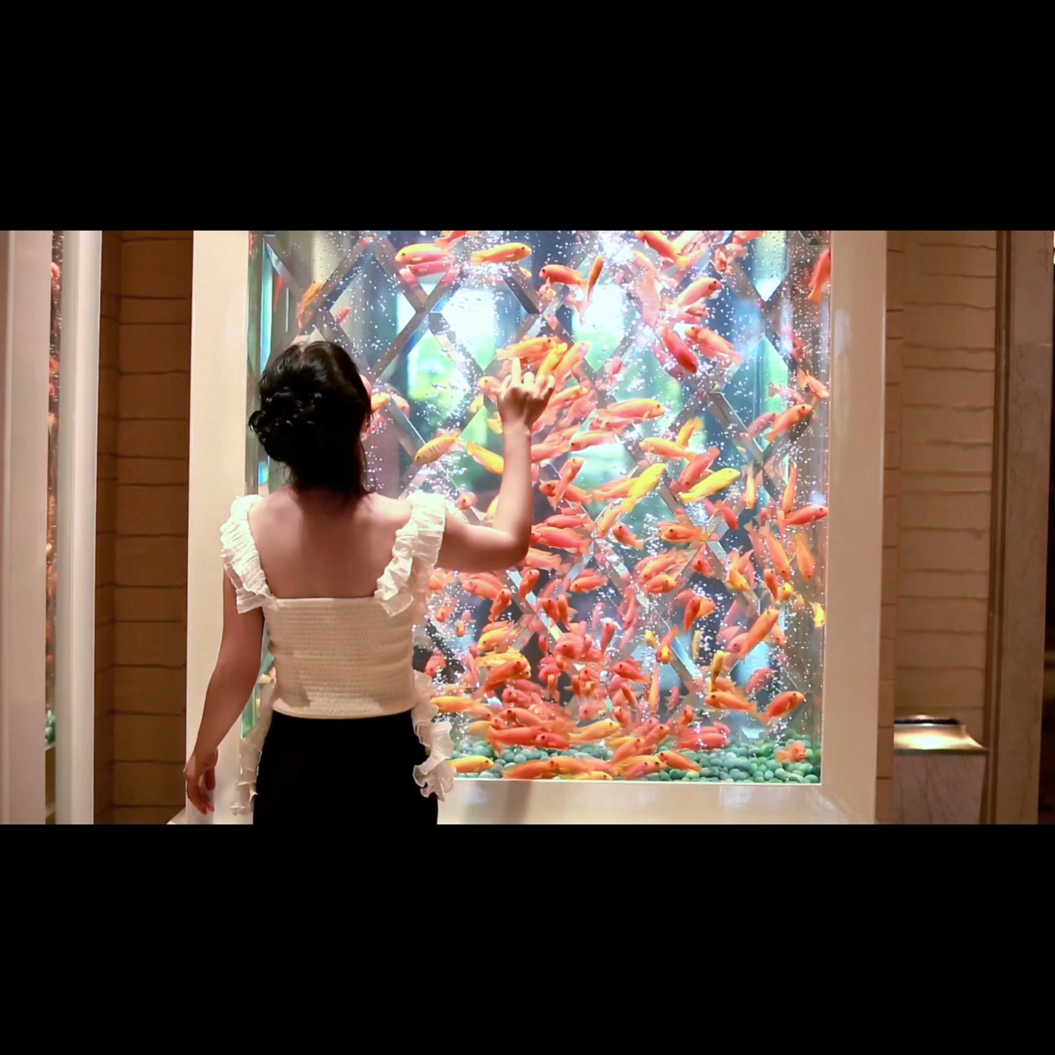 澳门永利|遇见发财金鱼缸