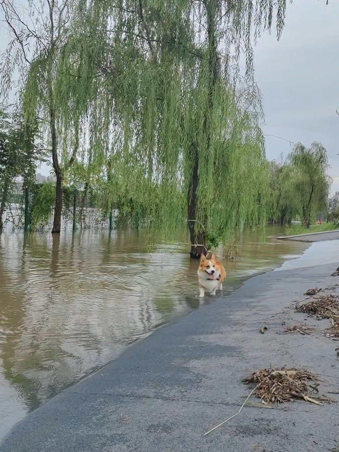 玩水！