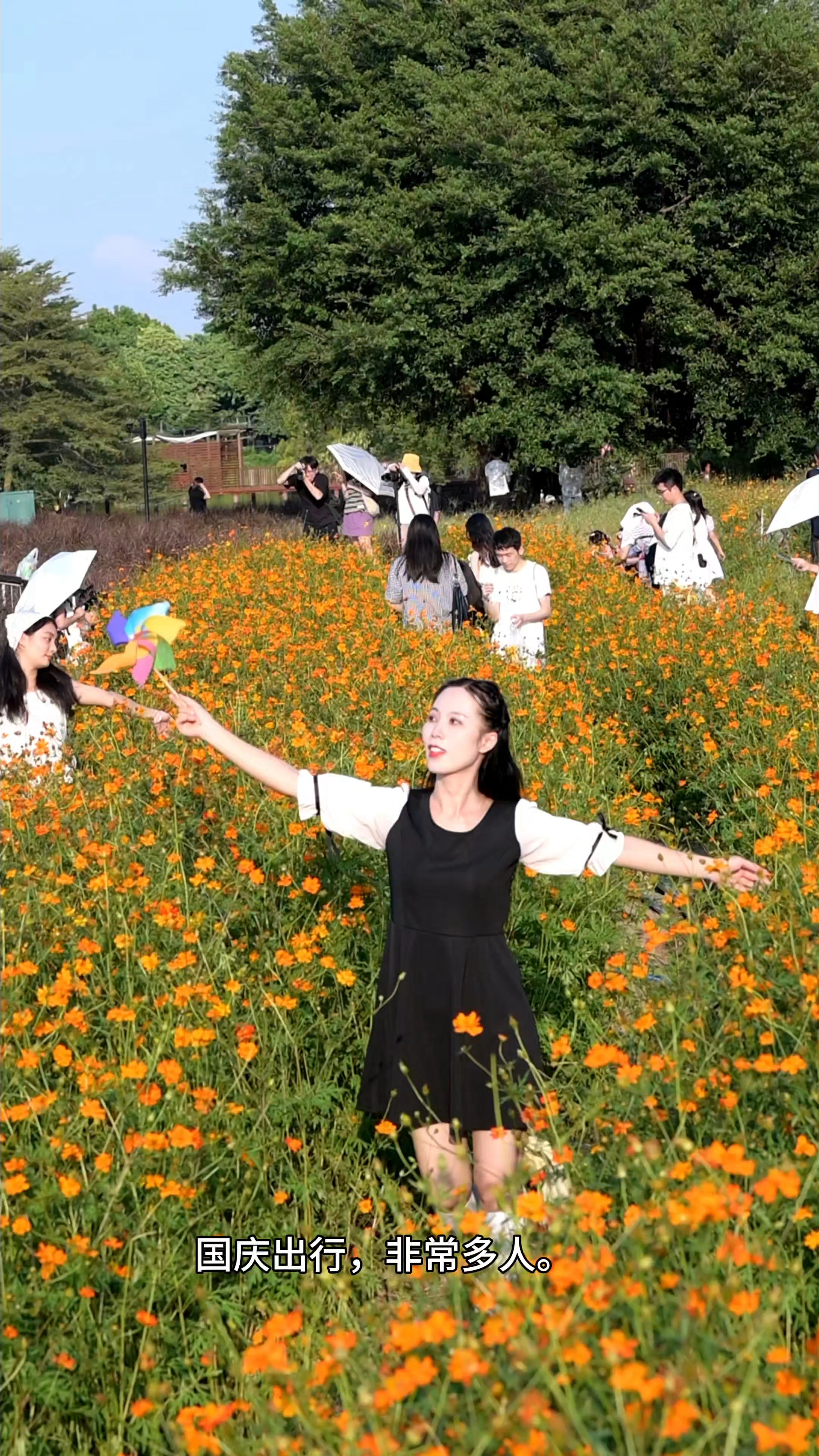 秋日出行拍照如何找到机位？