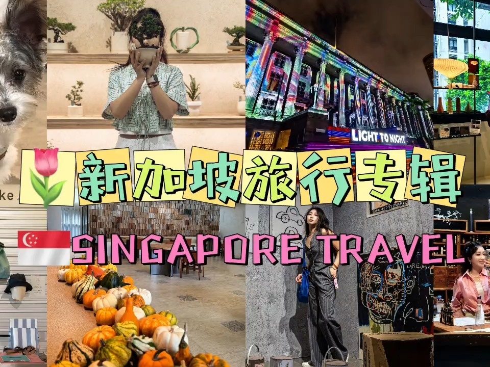 🇸🇬计划去新加坡看这里，艺术|精品店|美食| 你准备好了